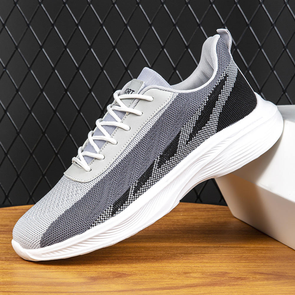 Soft Sole Men's Casual Sports  - đánh giá và giá Sneaker Career
