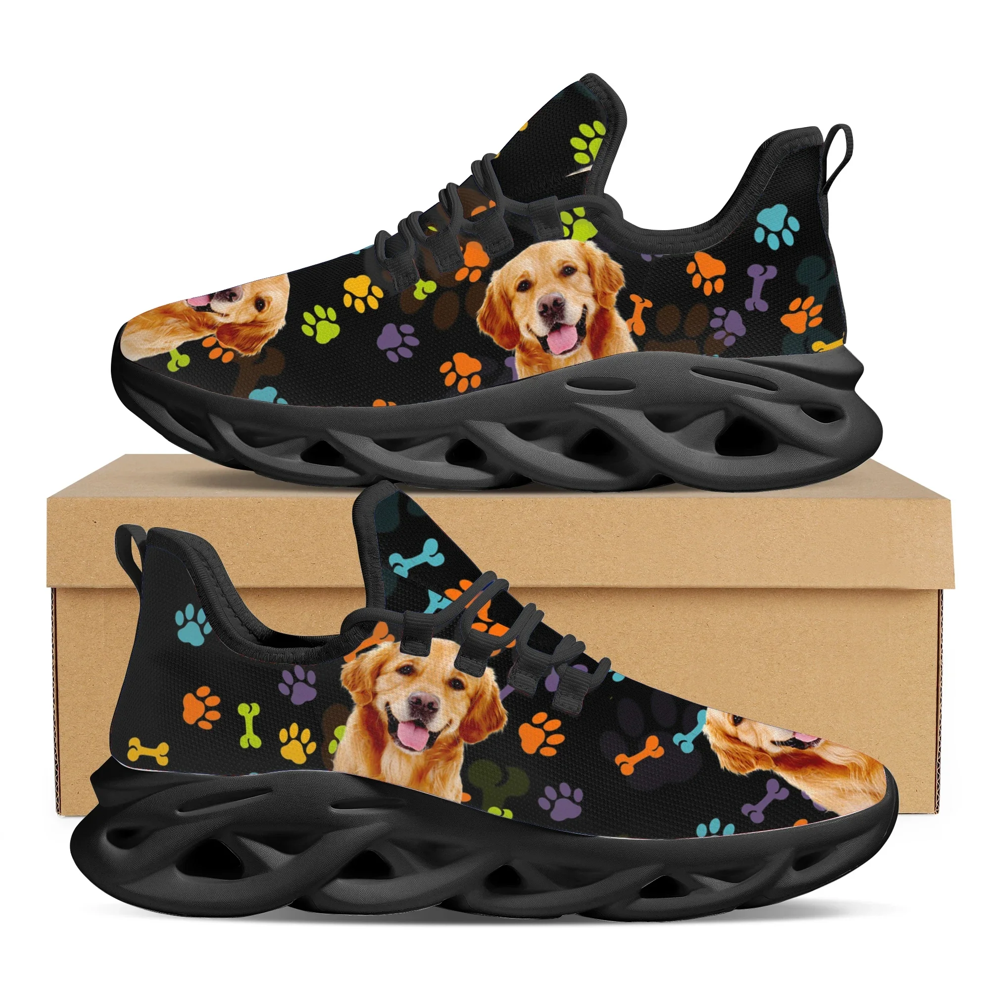 Lovely Golden Retriever Patter - đánh giá và giá Sneaker Career